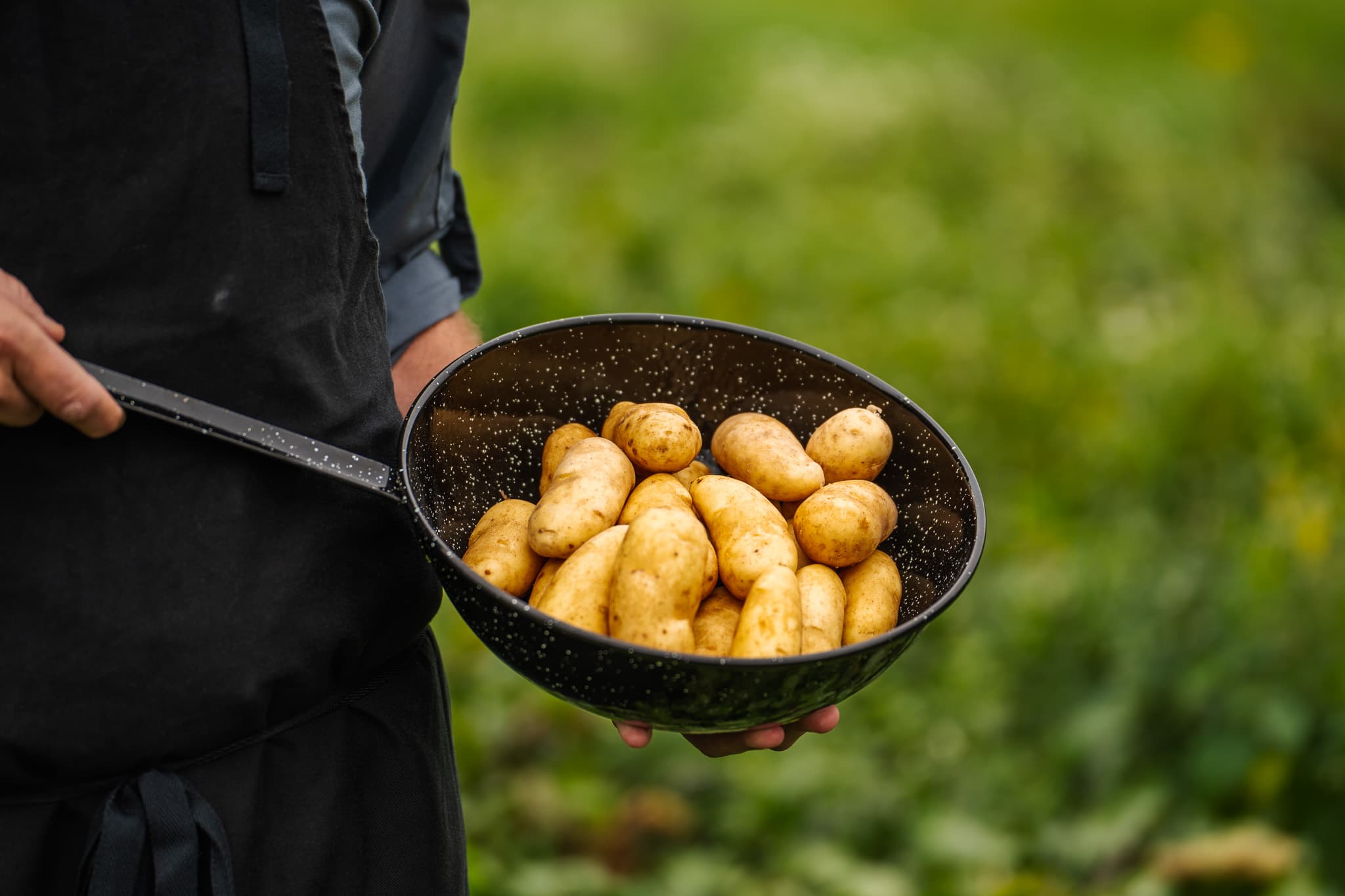 Chefs & Professional Kitchens