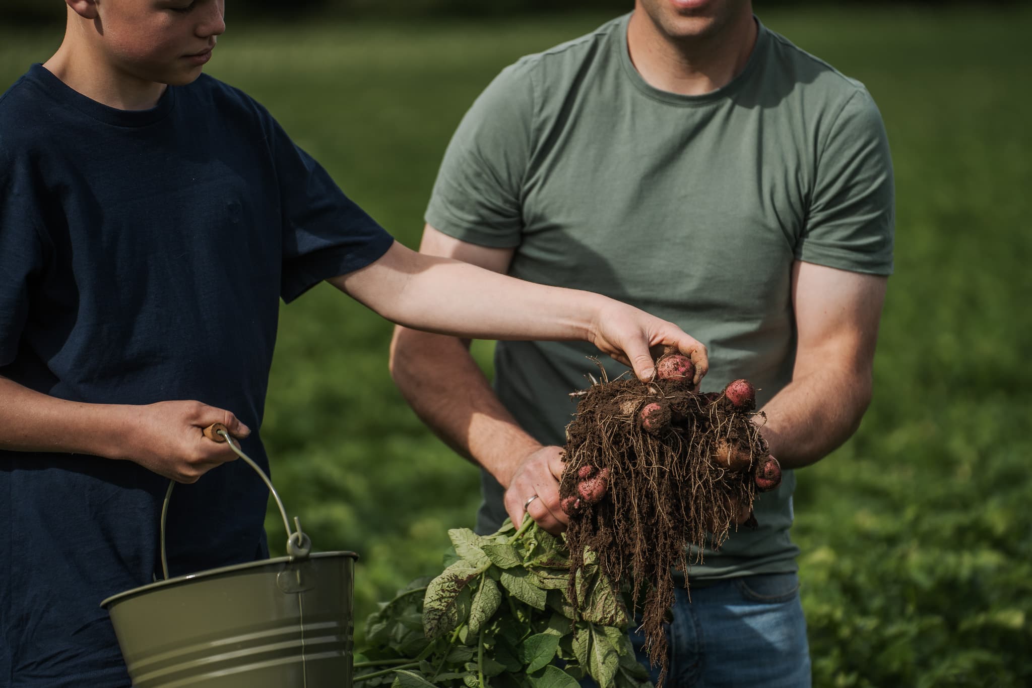 Sustainable food system