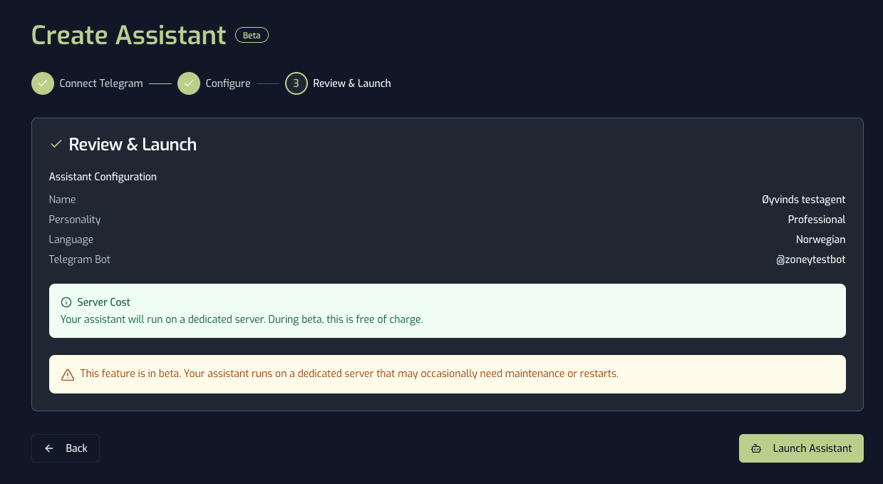 Create Assistant interface showing the final result — a working assistant ready to launch