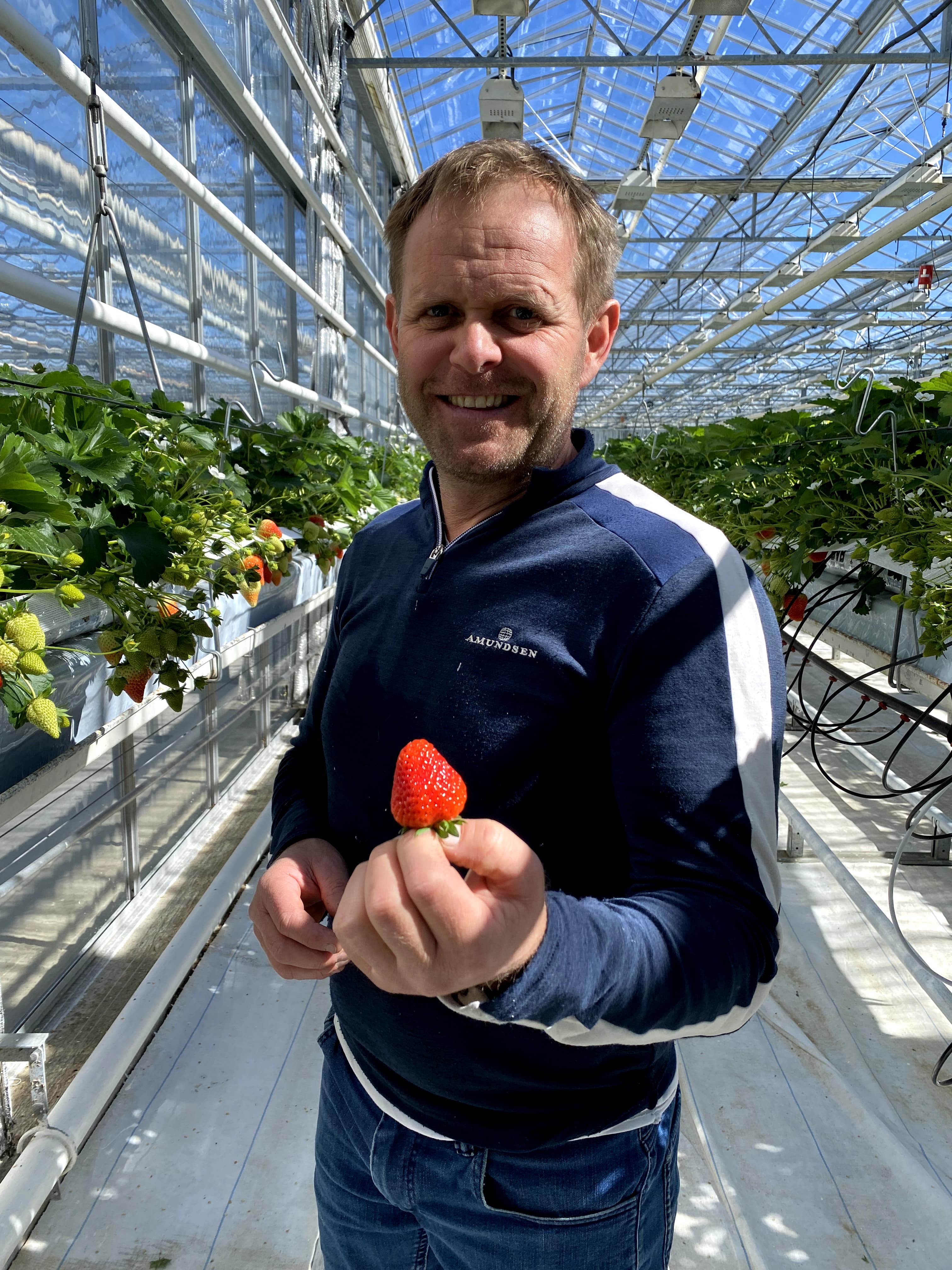 During a farmer visit organized by TEAL, Day of Week met strawberry grower Jone Wiig at Orre on Jæren, who delivered Norway's first strawberries already on April 20, 2024 through innovative production.